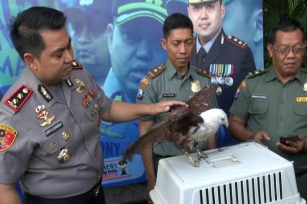 Tangkap Pencuri HP,...