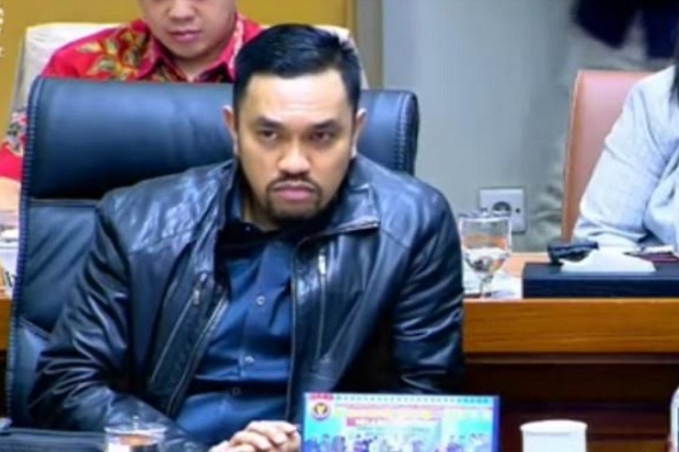 DPR Sebut Peran Dewan...