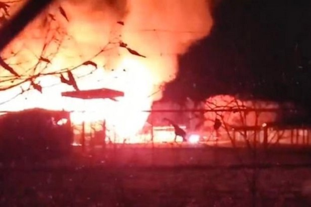 Taman Safari AS Terbakar,...