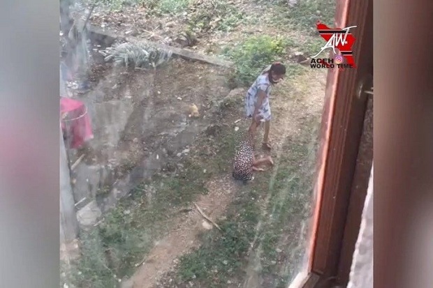 Gegara Rusak Tanaman...