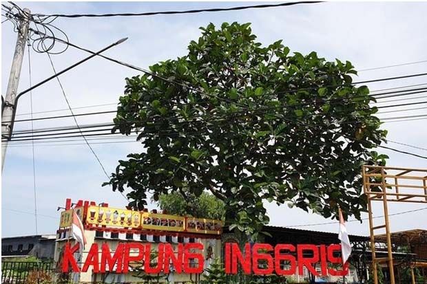 Mengintip 7 Rahasia...