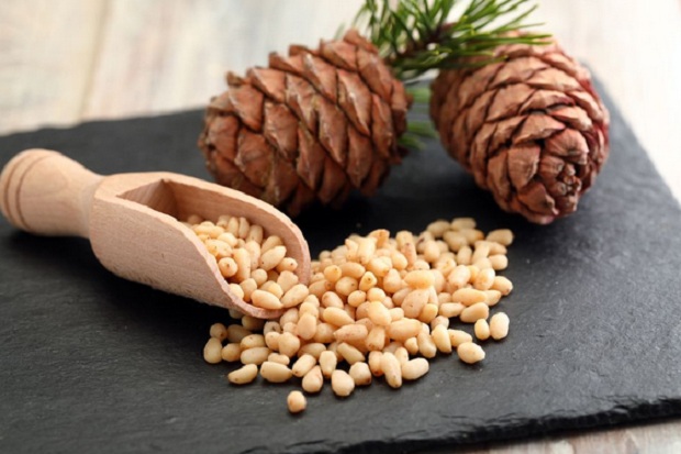 Kacang Pinus Baik untuk...