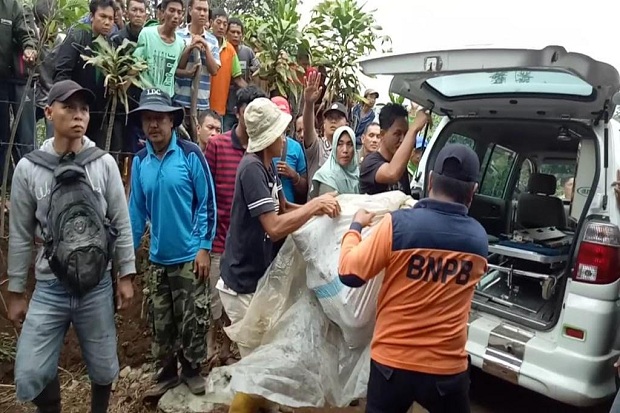 Dua Orang Diterkam Harimau,...