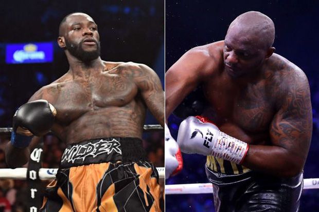 WBC Perintahkan Wilder...
