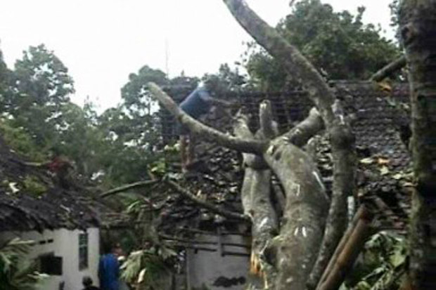 Puluhan Rumah di Banyuwangi...