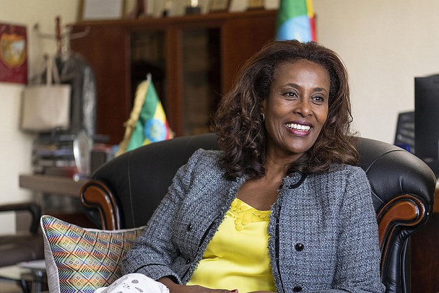 Meaza Ashenafi, Hakim...