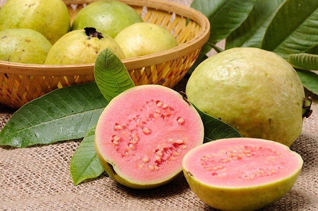 Jambu Biji Kaya Manfaat,...