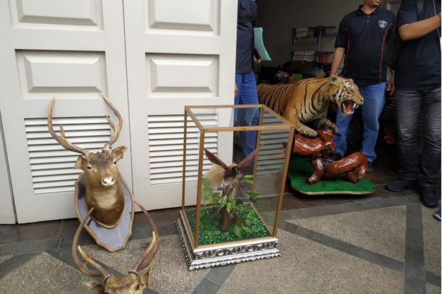 Simpan Harimau Sumatera...