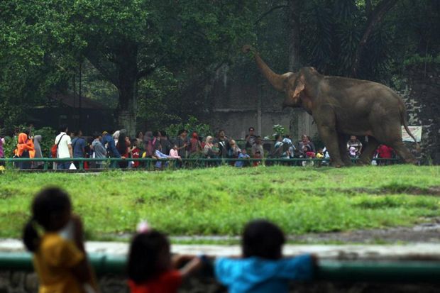 Libur Natal Usai, Taman...