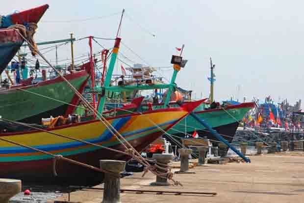 Tinggi Gelombang di...