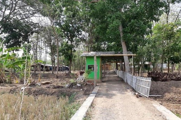 Hutan Jati Binong, Saksi...
