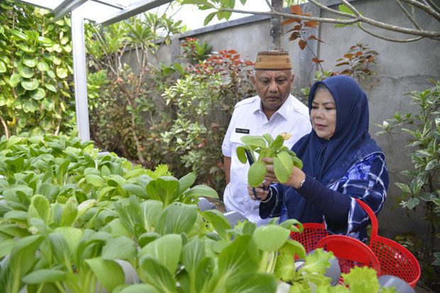 Gubernur Gorontalo Dorong...