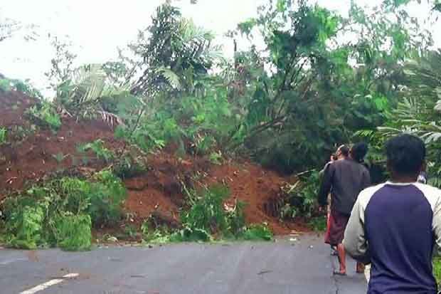 Tebing Setinggi 20 Meter...