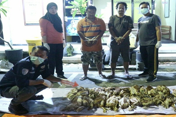 Bisnis Bangkai Ayam...