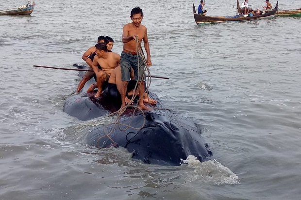 Tiga Hari Terdampar,...