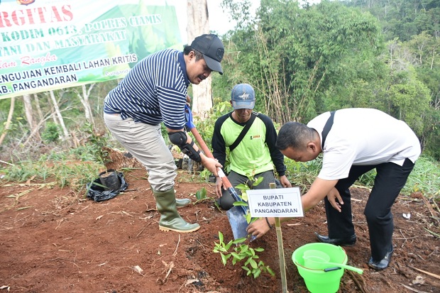 13 Hektare Hutan Pangandaran...