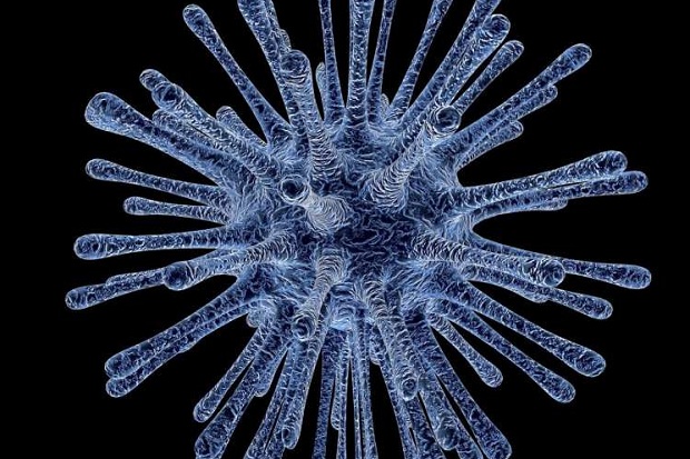 Mengenal Virus Korona...