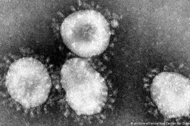 Mengenal Apa Itu Virus...