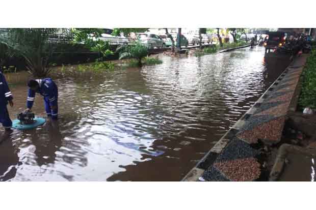 Diguyur Hujan Semalam,...