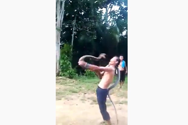 Pamer Kemampuan, Pawang...