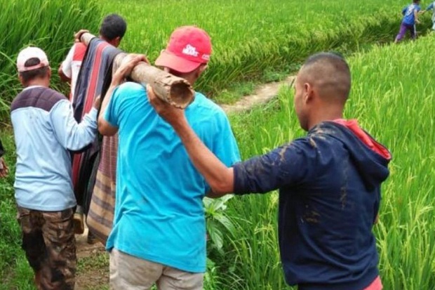 Tebing Longsor Timbun...