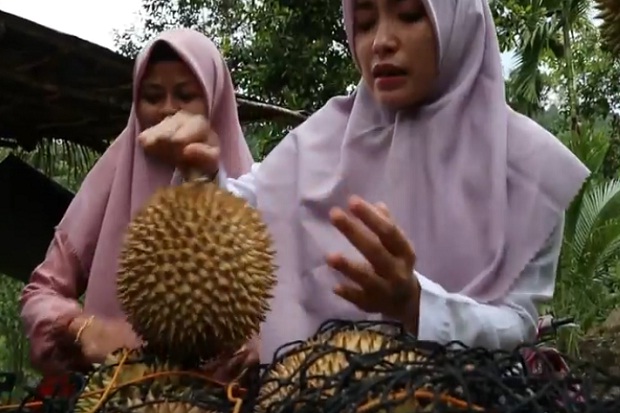 Durian Jambo Papeun...