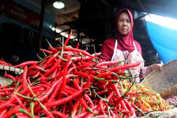 Kenaikan Harga Cabai...