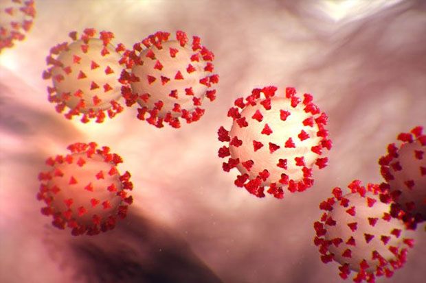 Virus Corona Belum Ditemukan...