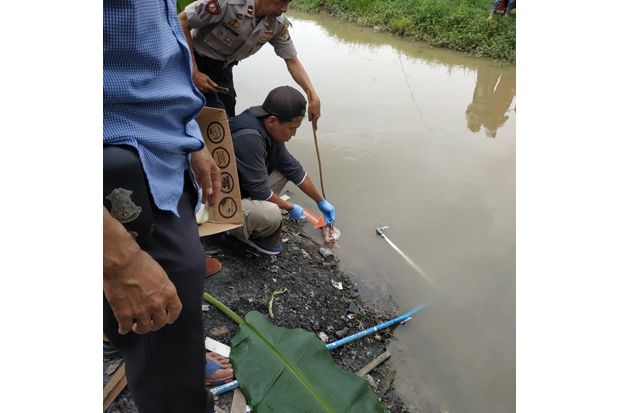 Bayi Berjenis Kelamin...