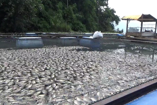 Fenomena Tubo Belerang,...