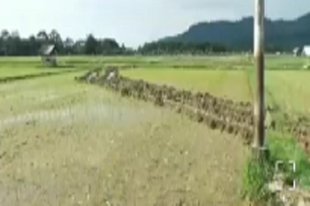 Alat Berat Proyek Jalan...