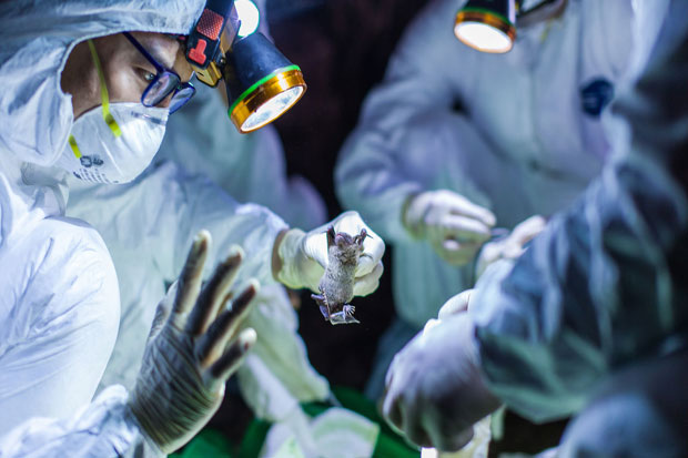 Pentolan Peneliti Ebola-SARS...