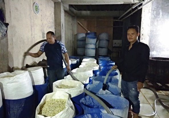 Sukses Jadi Juragan...