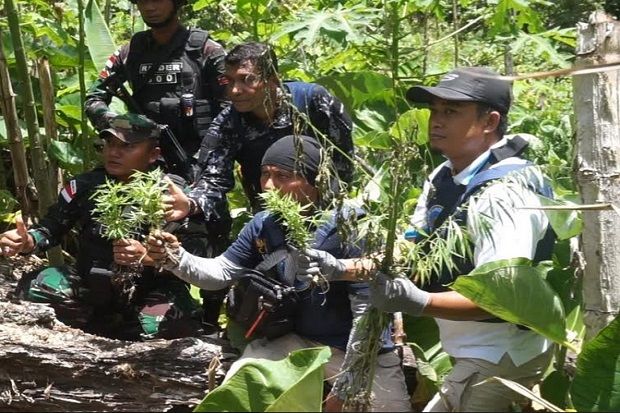 Pasukan Raider dan BNN...