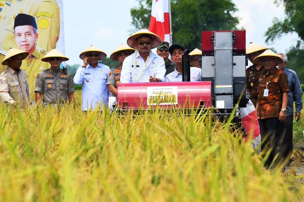 Investasi Sektor Pertanian...