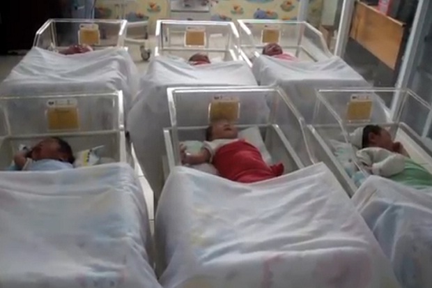 Cakep, 11 Bayi di Cirebon...