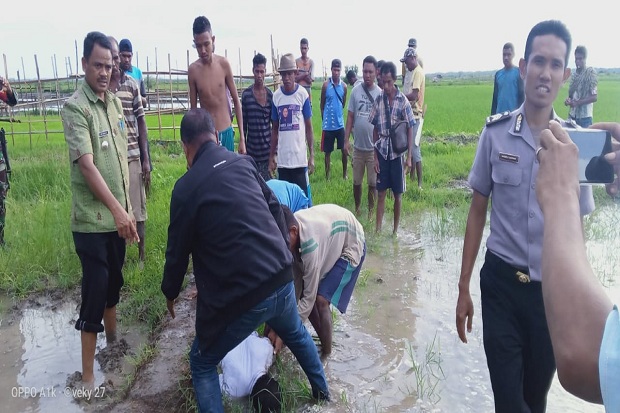 Empat Petani NTT Tersambar...