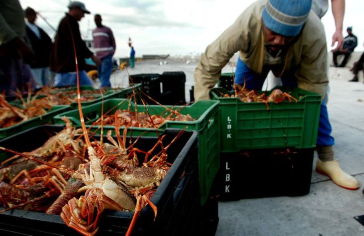 Para Penangkap Lobster...