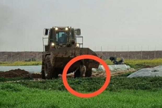 Tentara Israel Bunuh...