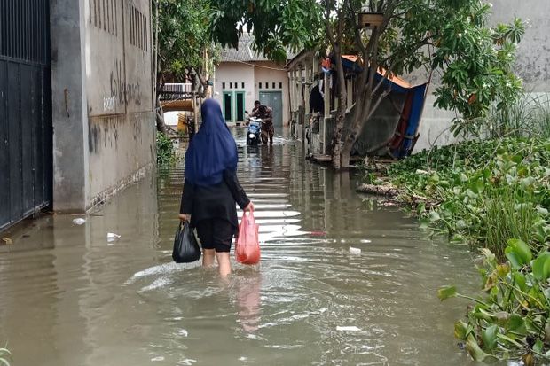 Tak Ada Hujan, Rorotan...