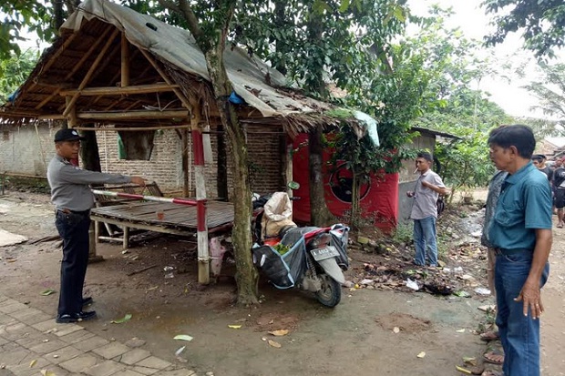 Pedagang Sayur Keliling...