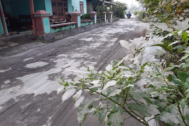 Merapi Erupsi Lagi,...