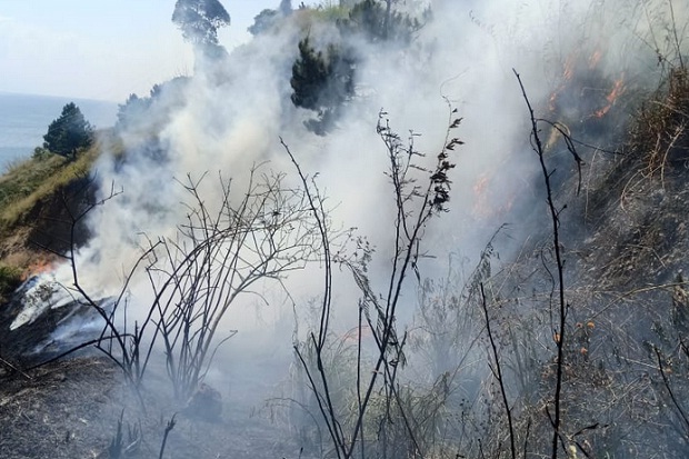 Kawasan Hutan dan Lahan...