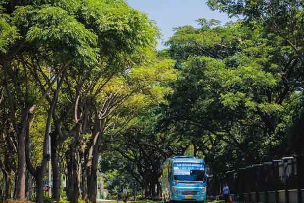 Bikin Nyaman Penghuni,...