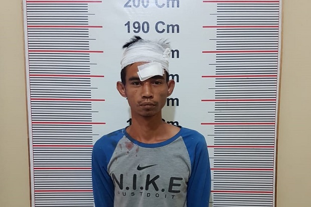 Padi Siap Panen Banyak...