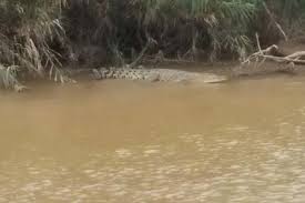 Nelayan di Riau Diserang...