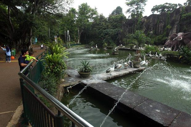 Bahaya Corona, Taman...
