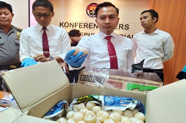 1007 Telur Penyu Diselamatkan...