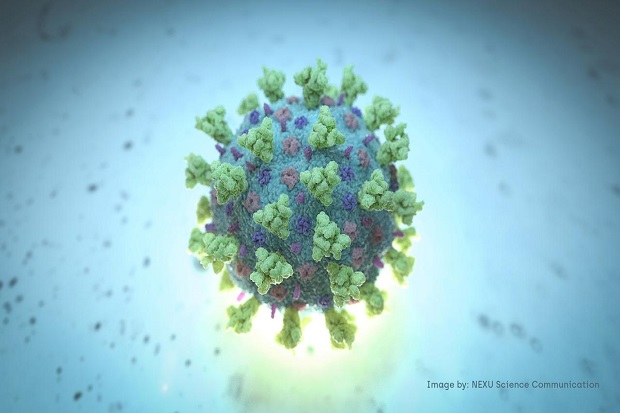 Riset AS: Virus Corona...