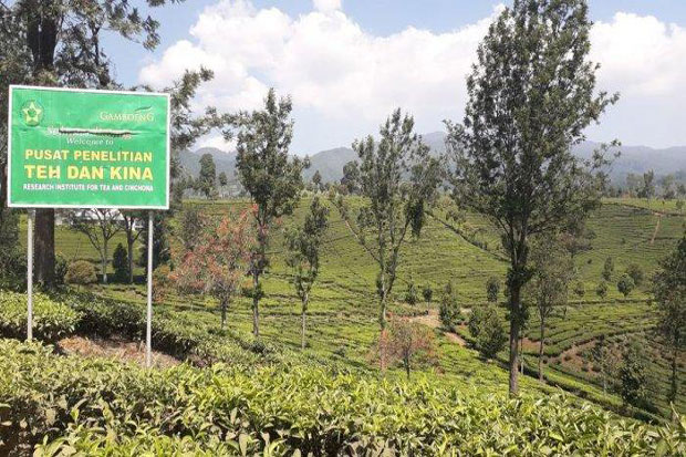 Sembuhkan Pasien Corona,...